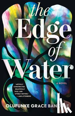 Bankole, Olufunke Grace - The Edge of Water