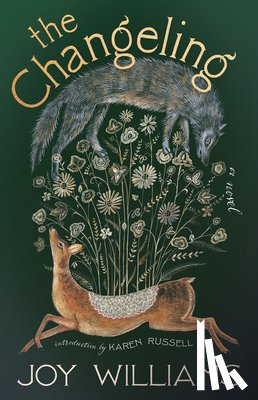 Williams, Joy - The Changeling