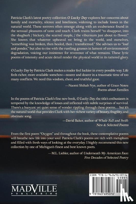 Clark, Patricia - O Lucky Day