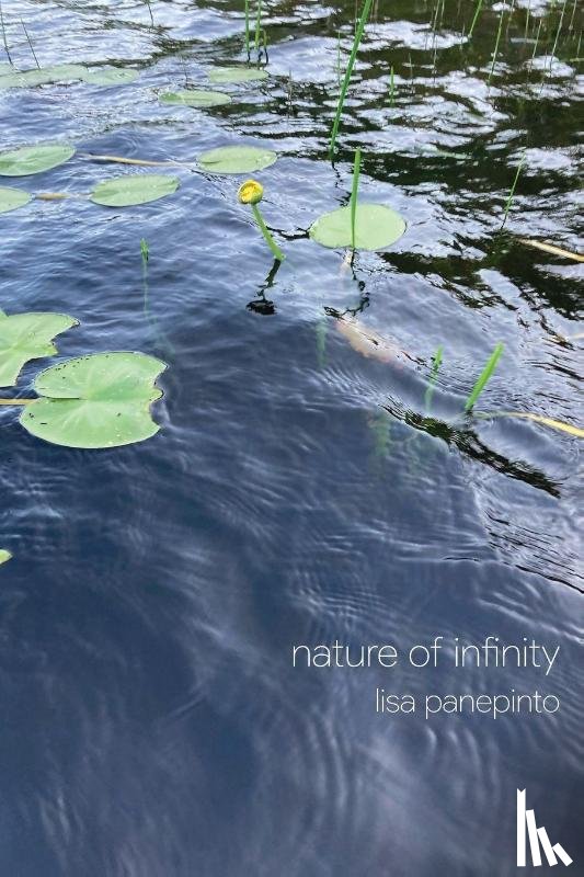 Panepinto, Lisa - nature of infinity