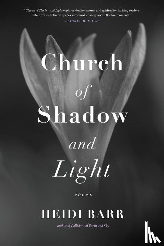 Barr, Heidi - Church of Shadow and Light