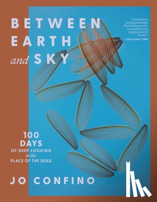 Confino, Jo - Between Earth and Sky