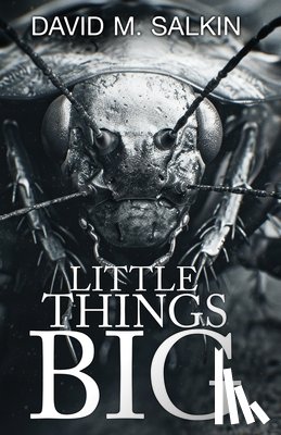 Salkin, David M. - Little Things Big