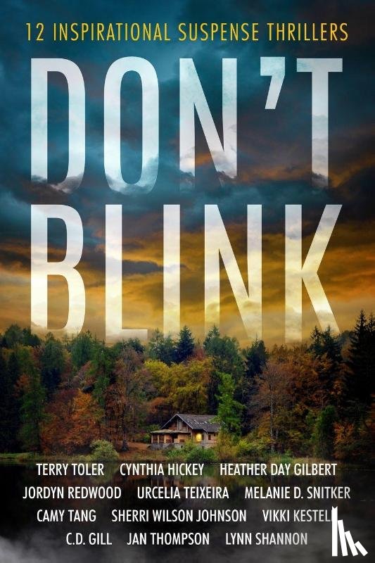 Toler, Terry, Hickey, Cynthia, Gilbert, Heather Day - Don't Blink