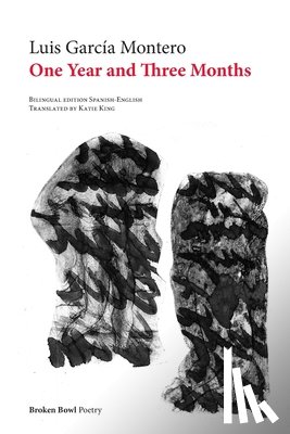 García Montero, Luis - One Year and Three Months