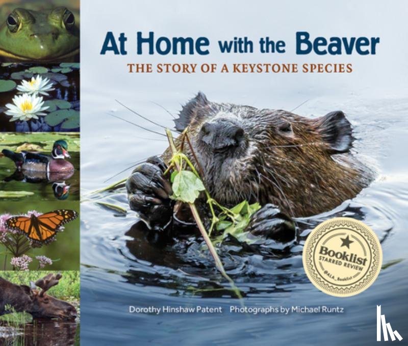 Patent, Dorothy Hinshaw - At Home with the Beaver