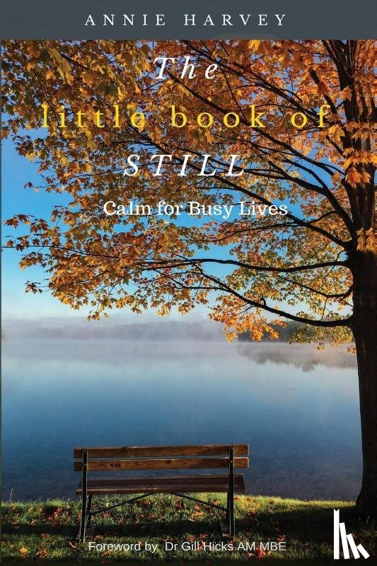 Harvey, Annie - The Little Book of Still