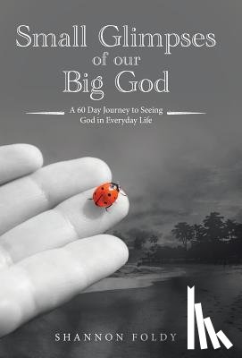 Foldy, Shannon - Small Glimpses of Our Big God