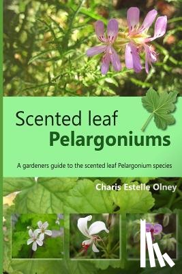 Olney, Charis Estelle - Scented leaf pelargoniums: A gardeners guide to the scented leaf pelargonium species