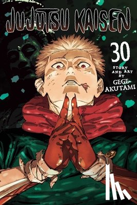 Akutami, Gege - Jujutsu Kaisen, Vol. 30