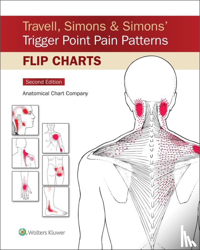 Anatomical Chart Company - Travell, Simons & Simons’ Trigger Point Pain Patterns Flip Charts
