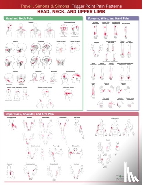  - Travell, Simons & Simons’ Trigger Point Pain Patterns Wall Chart