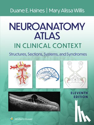 Haines, Duane E. - Neuroanatomy Atlas in Clinical Context: Structures, Sections, Systems, and Syndromes