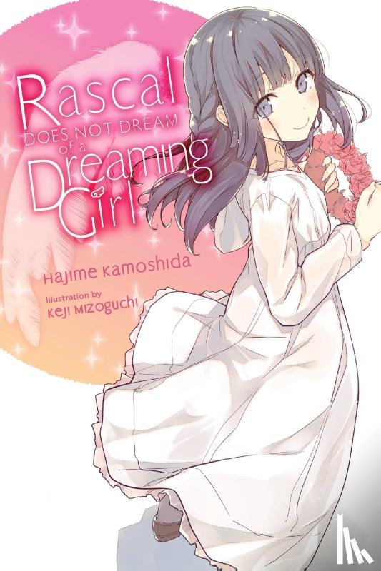 Cunningham, Andrew, Kamoshida, Hajime, Mizoguchi, Keji - Rascal Does Not Dream of a Dreaming Girl (light novel)