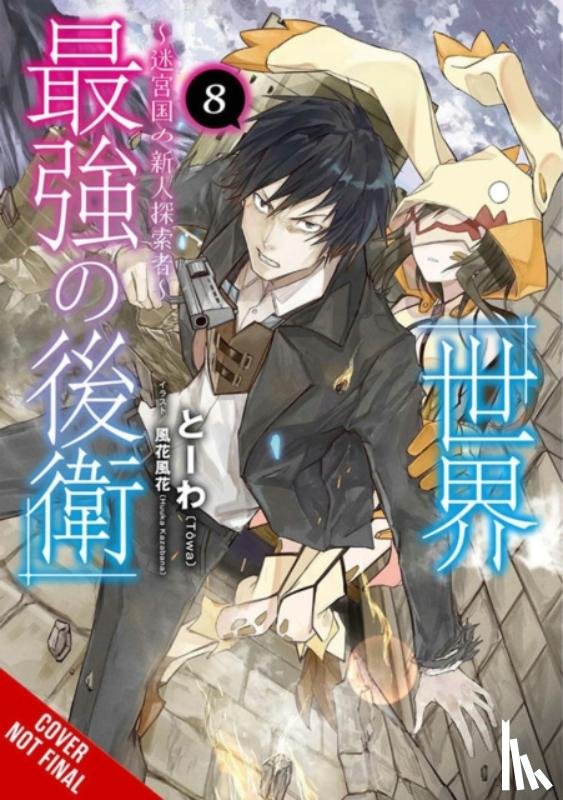 McCullough-Garcia, Alexandra, Kazabana, Huuka, Neal, John, Towa, Towa - The World's Strongest Rearguard: Labyrinth Country's Novice Seeker, Vol. 8 (light novel)