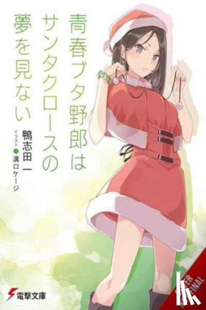 Cunningham, Andrew, Kamoshida, Hajime, Mizoguchi, Keji - Rascal Does Not Dream of Santa Claus (light novel)
