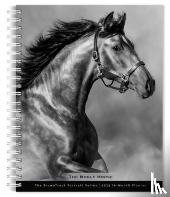  - Horse The Noble The Browntrout Portrait