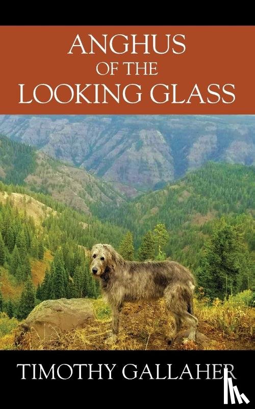 Gallaher, Timothy - Anghus of the Looking Glass
