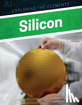 Maccarald, Clara - Silicon