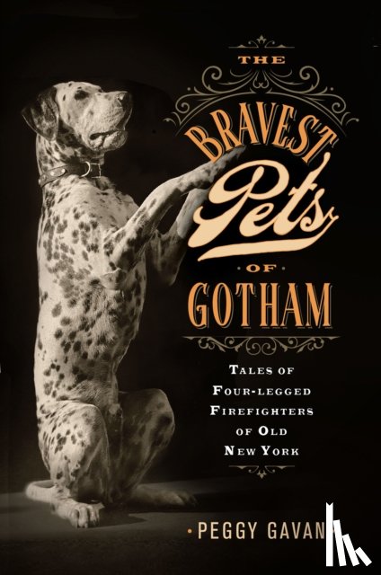 Gavan, Peggy - The Bravest Pets of Gotham