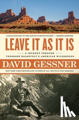 Gessner, David - Leave It As It Is