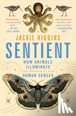 Higgins, Jackie - Sentient