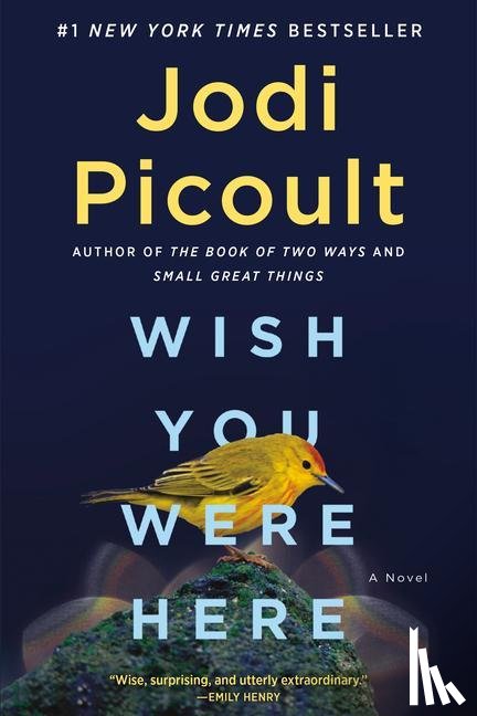 Picoult, Jodi - Wish You Were Here