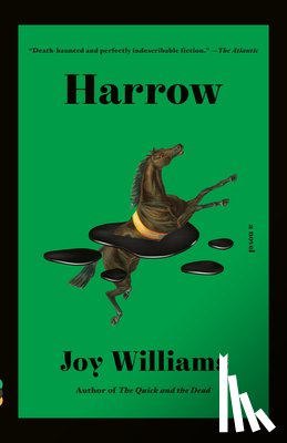 Williams, Joy - Harrow: A Novel (Kirkus Prize)