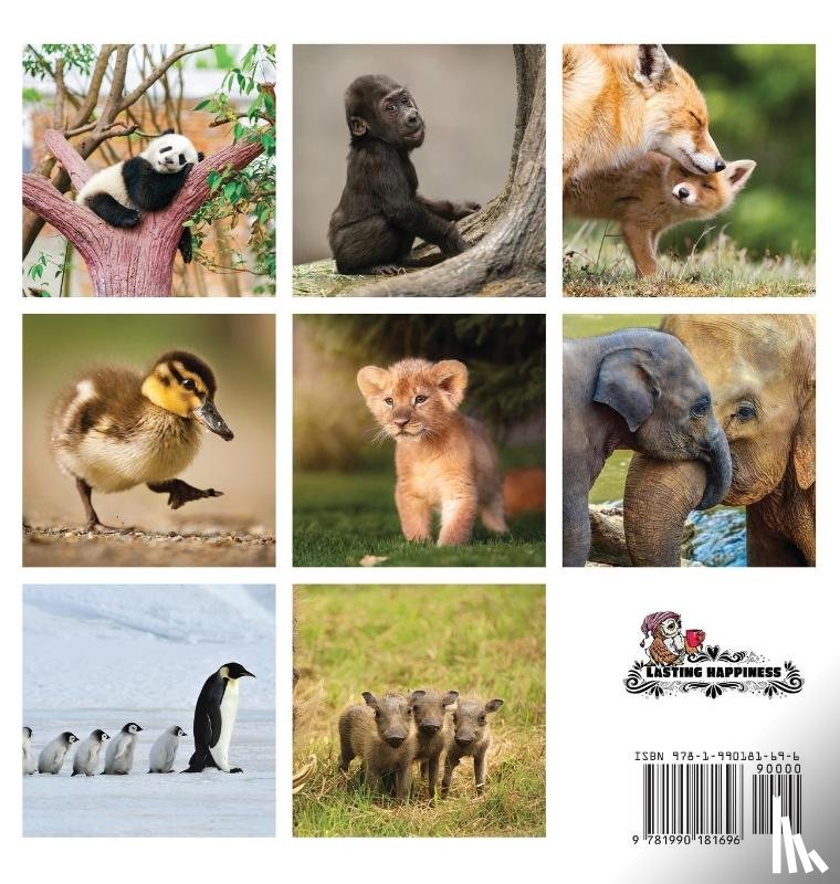 Happiness, Lasting - Baby Animals, A No Text Picture Book
