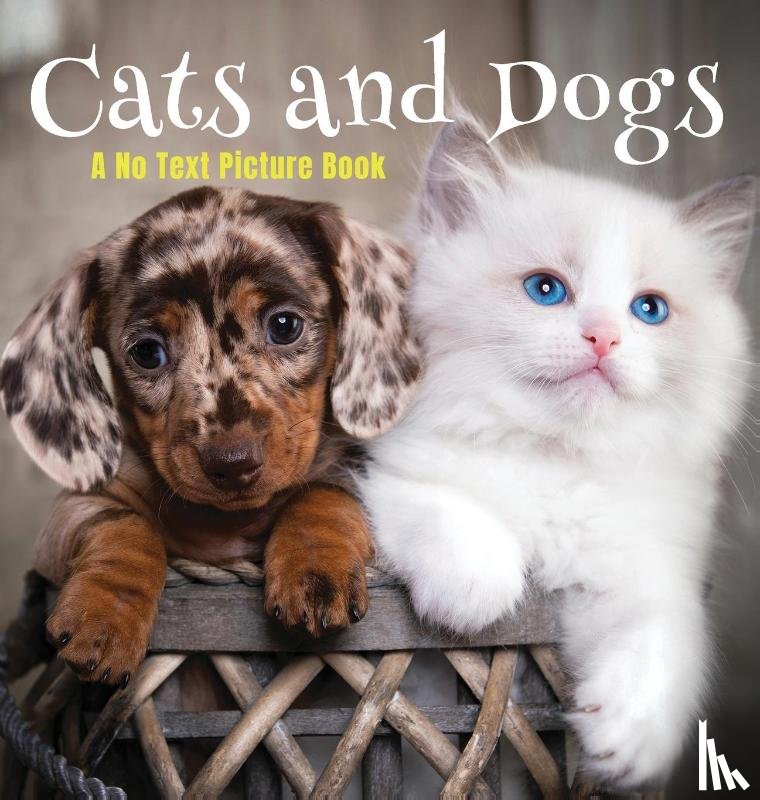 Happiness, Lasting - Cats and Dogs, A No Text Picture Book