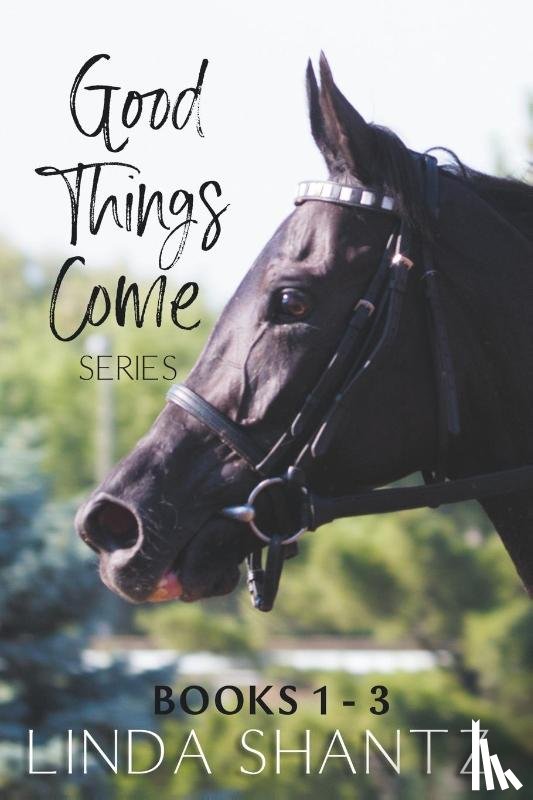 Shantz, Linda - The Good Things Come Series