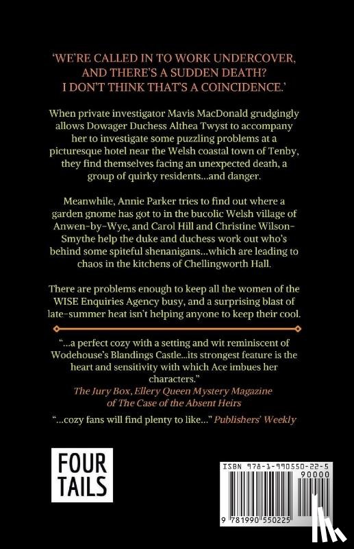 Ace, Cathy - The Case of the Secretive Secretary