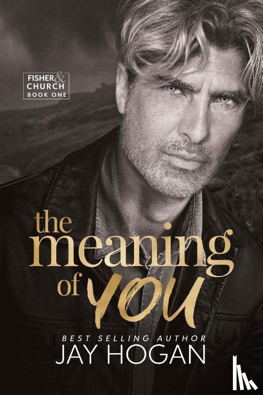 Hogan, Jay - The Meaning of You