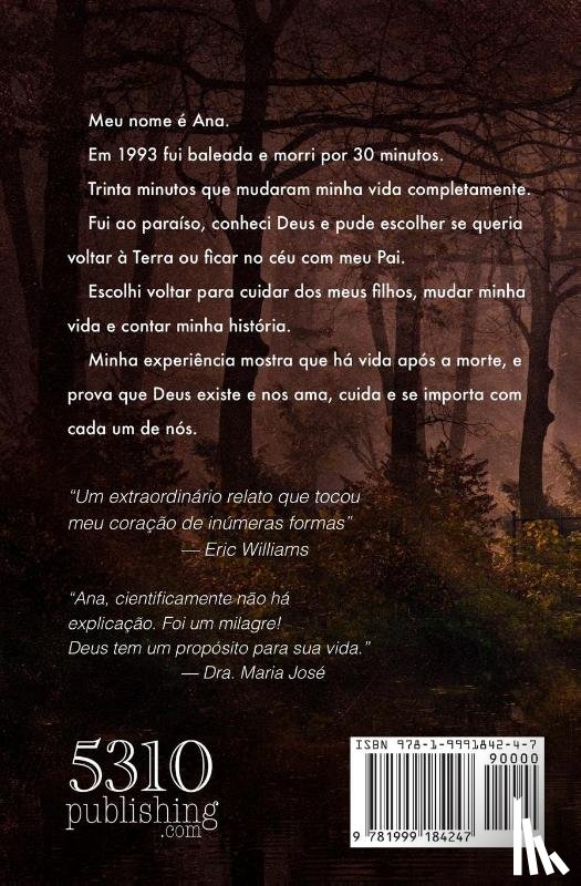 C Sales, Ana - A Ponte Que Eu Nao Atravessei