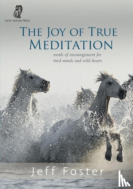 Foster, Jeff - The joy of True Meditation