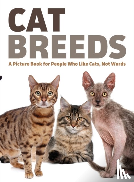 Happiness, Lasting - Cat Breeds