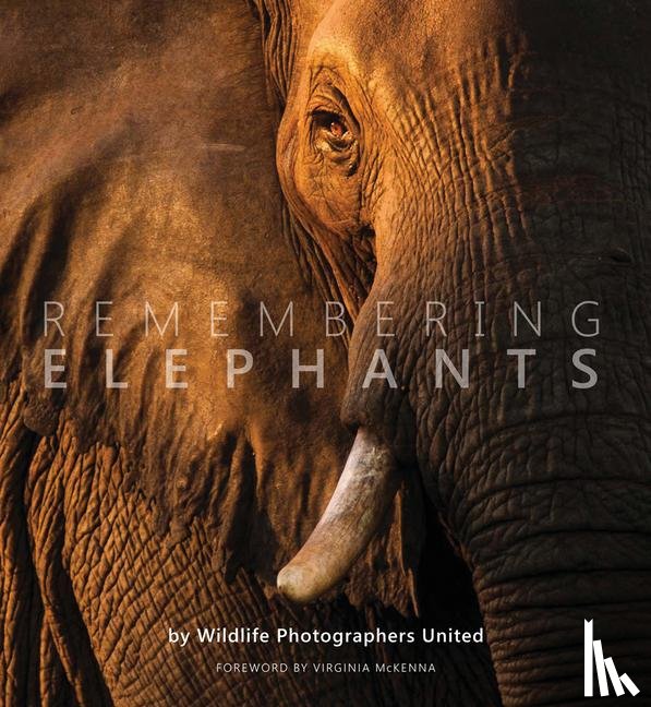 Raggett, Margot - Remembering Elephants