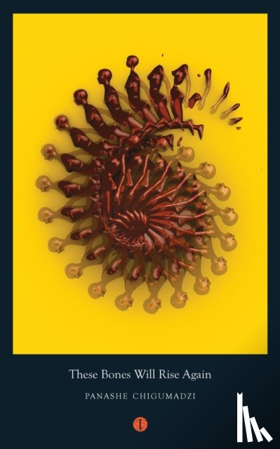 Chigumadzi, Panashe (Writer) - These Bones Will Rise Again