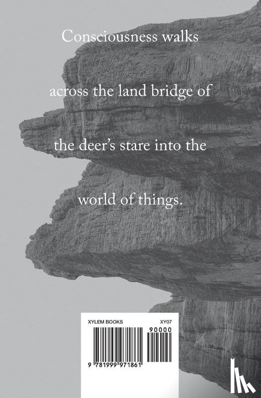 Lilburn, Tim - Living In The World As If It Were Home