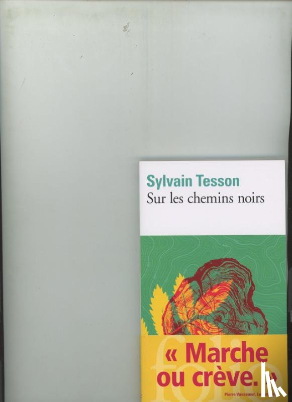 Tesson, Sylvain - Sur les chemins noirs