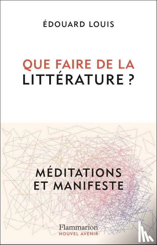 Louis, Édouard - Que faire de la littérature ?