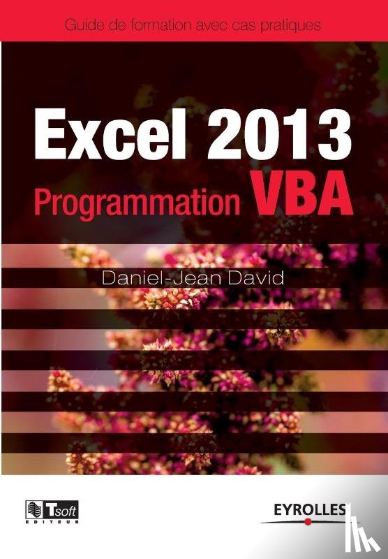 David, Daniel-Jean - Excel 2013 - Programmation VBA