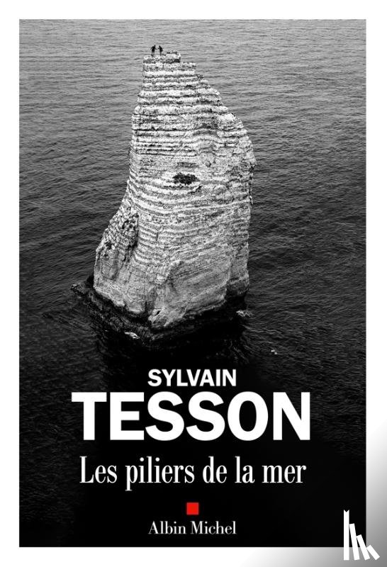 Tesson, Sylvain - Les Piliers de la mer