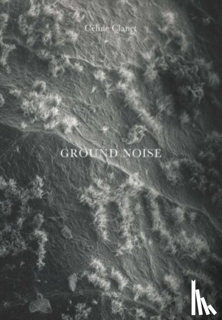 Sueur, Jérôme - Ground Noise
