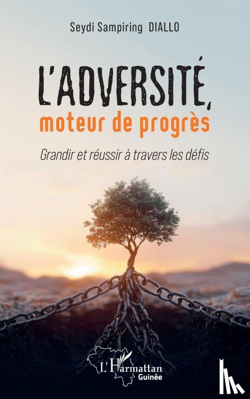 Diallo, Seydi Sampiring - L'adversité, moteur de progrès