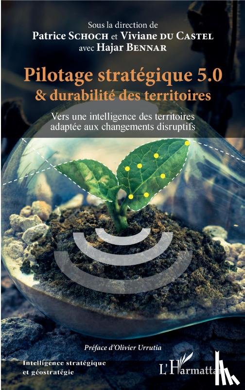 Schoch, Patrice, Du Castel, Viviane, Bennar, Hajar - Pilotage stratégique 5.0 et durabilité des territoires