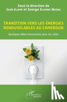 Elame Esoh - Transition vers les énergies renouvelables au Cameroun: Quelques idées innovantes pour les villes