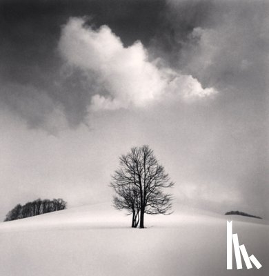 Kenna, Michael - Michael Kenna: Constellation