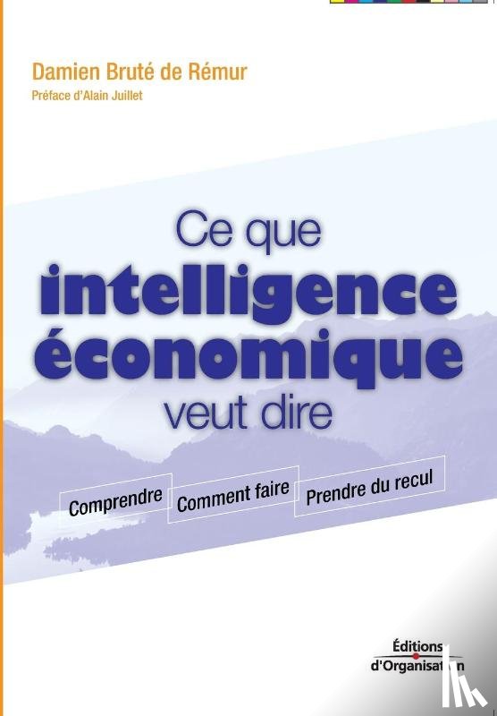 Brute de Remur, Damien - Ce que intelligence economique veut dire