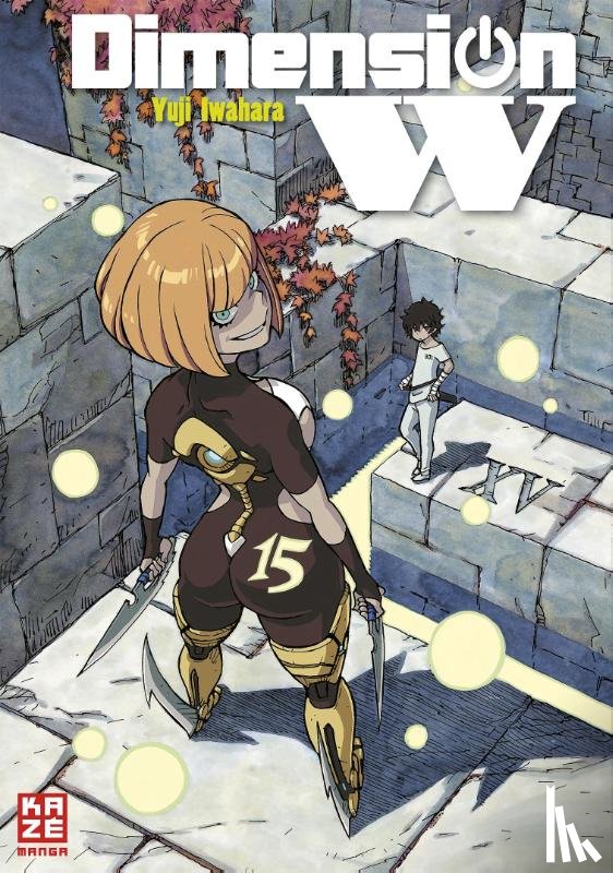 Iwahara, Yuji - Dimension W 15
